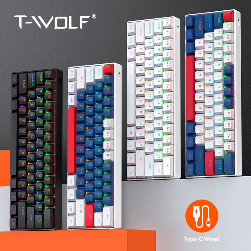 T-WOLF T60 Wired Gaming Keyboa - Gaming Keyboard Not Typing review and price